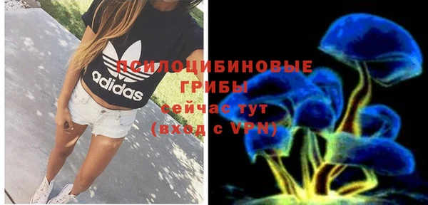 первитин Алексеевка