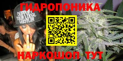 МДПВ Можайск