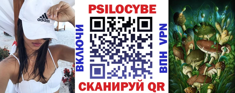 гидра зеркало где продают наркотики Избербаш Галлюциногенные грибы Psilocybine cubensis